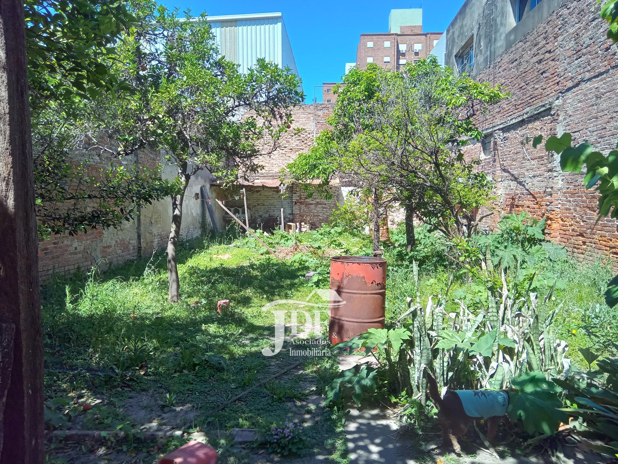 foto de la propiedad